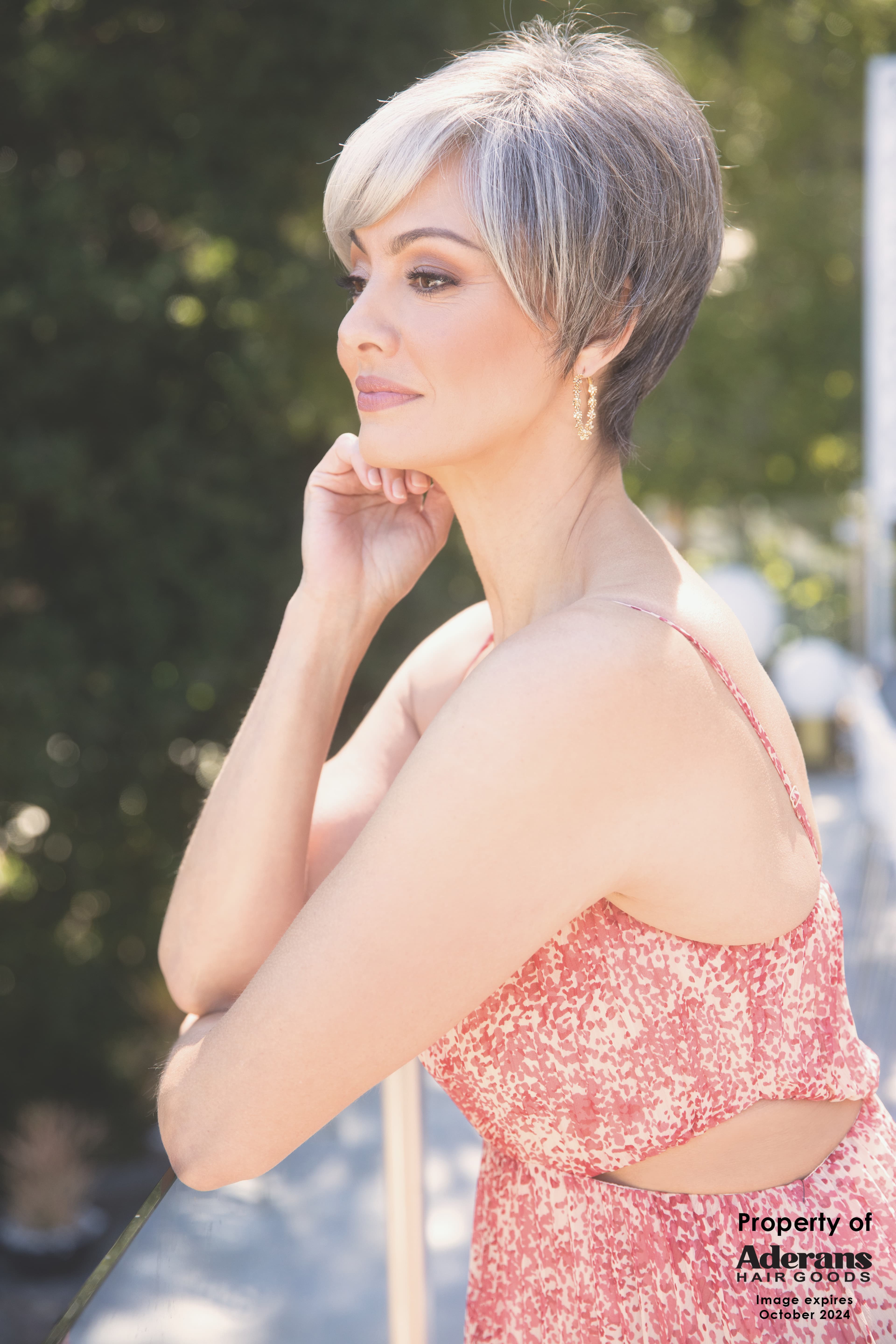 Silver & Gray Styling Consultation
